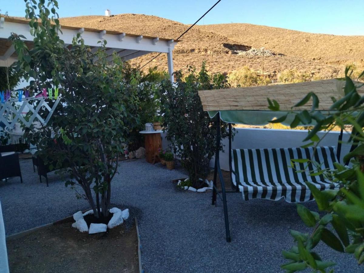Little Garden * Pera Gyalos